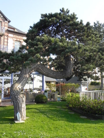 HOTEL RESTAURANT VILLERVILLE NORMANDIE