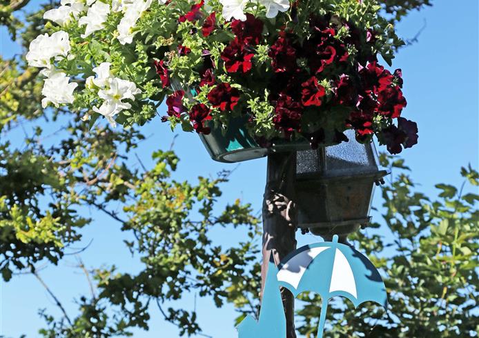 Villerville, fleurs  - Bellevue Hotel