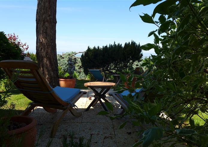 jardin - Bellevue Hotel